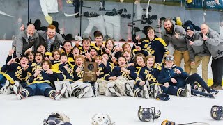 River Falls Wildcats Hockey  State Tournament Preview Show [upl. by Gignac]