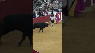 Ajustado tirabuzón de Eusebio Sacristán quotUsequot en Zaragoza 2024 recortadores toros use [upl. by Galligan]