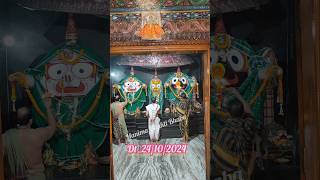 Sree Jagannath Mangal Arati Darshan Dt24102024 shorts jagannath krishna [upl. by Dirtsa]