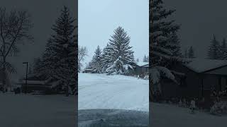 Heavy Snowfall in Calgary🇨🇦 snow buhaycanada winter formanesvlogs [upl. by Gerkman762]