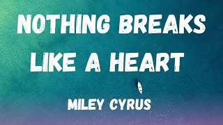 Miley Cyrus  Nothing Breaks Like a Heart Cover [upl. by Yesmar]