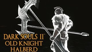 Dark Souls 2 Old Knight Halberd Tutorial dual wielding w power stance [upl. by Win217]