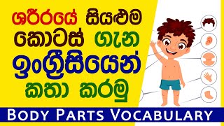 Parts Of The Body In English With Sinhala Meanings  Learn English Vocabulary In Sinhala [upl. by Mace334]