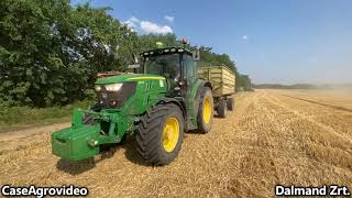 Bonafarm MezőgazdaságDalmand Zrt Középhídvég Őszi búza betakarítása 2022 Wheat harvest [upl. by Atina680]