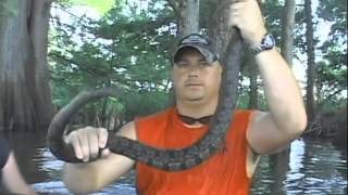 Snake Hunt Mississippi Style Grabuone Outfitter CMT television promotional video [upl. by Kirchner129]