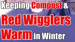 2 Min Tip How We Keep Compost amp Red Wigglers Warm All Winter [upl. by Sucitivel233]