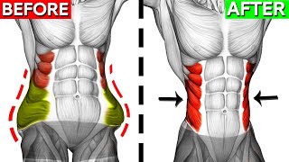 Dont Miss These 10 Perfect Oblique Exercises 🎯 [upl. by Huesman]