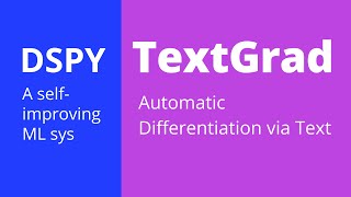 NEW TextGrad by Stanford Better than DSPy [upl. by Atnaloj461]