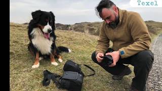 Texel 2018  Dünen Meer und Hundestrand [upl. by Wandy678]