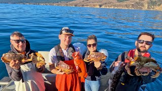 20241108 Bodega Bay Crabbing Open Limits california Dungeness Crab [upl. by Chaing]