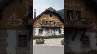 titisee germany cuckoo clock black forest [upl. by Akemak903]