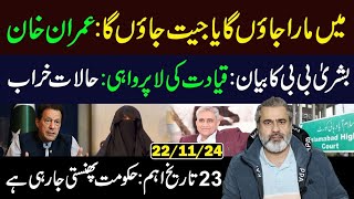 Imran Khan and Bushra Bibi Statement  23 Date Important  Imran Riaz Khan VLOG [upl. by Smaj]