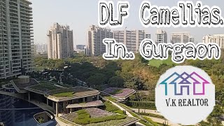 DLF The Camellias condominium Luxury Apartments 7500Sqft Golf Facinggurgaon [upl. by Harve5]