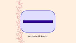 How to Sequence a Genome 4 E Coli Storage [upl. by Nawotna662]