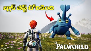 PALWORLD TELUGU  I Got LEGENDARY Pokémon  Heracross In Palworld  in telugu Palworld [upl. by Boylan]