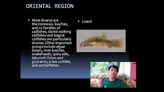 Zoogeography of Freshwater Fishes video reporting Ichthyology Subject [upl. by Rohpotsirhc]