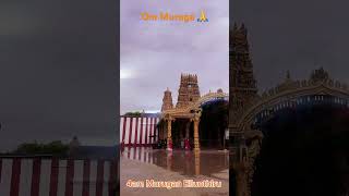 Nallur Murugan Skanda Shasti Lanka [upl. by Muraida]