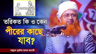 তরিকত কি ও কেন পীরের কাছে যাব  Allama Khurshid Alam Kasemi  খুরশিদ আলম কাসেমী New Waz 2024 [upl. by Jemie]