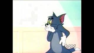 Tom And Jerry Jerrys Cousin Part 2 590332 [upl. by Ahsoik853]