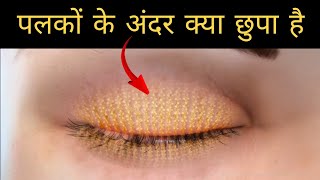 पलकों के अंदर क्या छुपा है  what is inside the eyelid [upl. by Llenyt975]