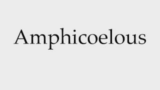 How to Pronounce Amphicoelous [upl. by Hercule516]