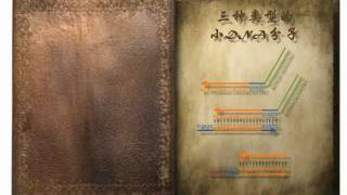 跷跷板的魔法书：DNA分子的计算天赋（The seesaw magic book） [upl. by Kucik295]