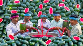 WATERMELON MILKSHAKE  Summer Healthy Drinks  Fresh Watermelon Juice Making in Village [upl. by Llennol982]