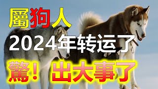 生肖狗在哪年迎來大運？2024年是否為狗人換運之年狗是忠誠善良的象徵，生肖狗作為中國傳統文化中十二生肖之一，生肖都有自己的運勢和運程，生肖狗在哪年迎來大運呢？2024年是否為屬狗人大運之年 [upl. by Keldah]