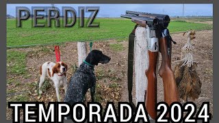 PerdizTEMPORADA 2024 unos tiros a las PERDICES  Iga gauchacalibre 12 grande súper puesta [upl. by Etz]