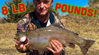 TROUT fishing Ogallala CANAL  Nebraska  HOW TO EASILY LIMIT [upl. by Novyart]