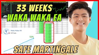 33 Weeks Result Waka Waka EA  Safe Martingale That Can Survive Forex Trading Market Conditions [upl. by Eanel]