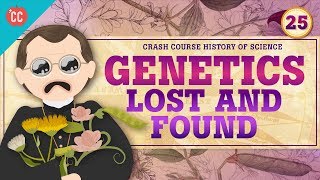 Genetics  Lost and Found Crash Course History of Science 25 [upl. by Ettenauq]