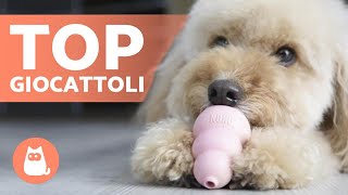 TOP 8 Migliori GIOCATTOLI per CANI 🥏🐕 Scoprili [upl. by Eciryt]