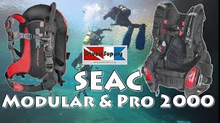 Seac Pro 2000 and Modular BCDs  A Hybrid and a Backplate and Wing [upl. by Roldan397]