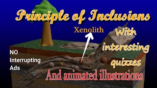 Principle of inclusions Xenolith Xenocryst magma intrusion incomplete digestion geology quiz [upl. by Hutt]