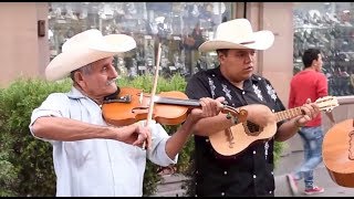 Trío Tordo Huasteco toca El Querreque en La Calle del Huapango en SLP [upl. by Pleasant]