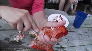 Extracting Meat from a Lobster Tail [upl. by Gisela]