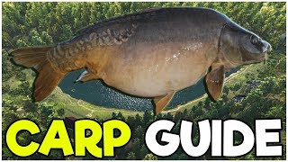 CARP Fishing Guide  Fishing Planet Tips [upl. by Thilda638]