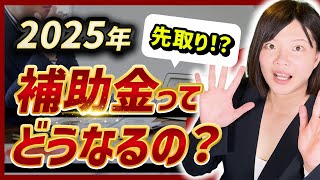 【補助金】2025年度の補助金ってどうなるの？ [upl. by Portuna735]