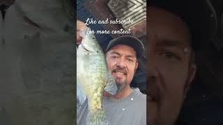 Dreams can come true creek bassfishing creekwater fishing fish catfishing bass smallcreek [upl. by Dygert]