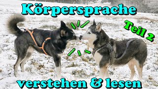 Körpersprache Hund  lesen und verstehen amp Kommunikation zwischen Hunden  Teil 2  Nature Trails [upl. by Ellehsor]