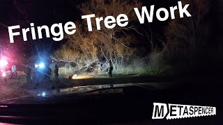 Fringe Tree Work [upl. by Alaekim]