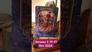 Verseau ♒ s 1117 NOVEMBRE 2024 verseau horoscope guidance [upl. by Esenej]