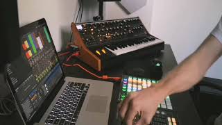 Live Melodic Techno w Moog Sub 37 amp Ableton Live 11 [upl. by Page]