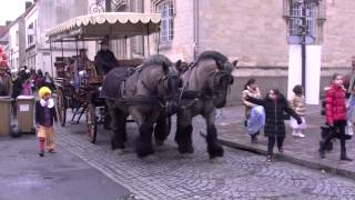 Deux Beau Chevaux a Calèche [upl. by Nahama]