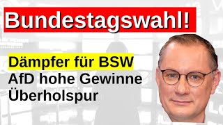 Bundestagswahl Sonntagsfrage Prognose AfD Gewinner Hochrechnung Wahlsonntag Scholz abgestraft [upl. by Asert]