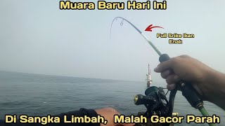 muara baru terkini di sangka berlimbah ternyata malah gacor parah DAM MERAH MUARA BARU [upl. by Marne]