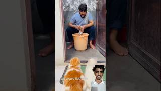 maalik ke bure din aa gye🤣😂 cat viralcat catvideo catcomedy [upl. by Eceerehs]