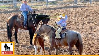 Youth Team Doctoring  2023 West Texas Youth Ranch Rodeo  Saturday [upl. by Lynden]