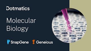 Molecular Coning Genomics and Sequencing with SnapGene and Geneious [upl. by Akemor]